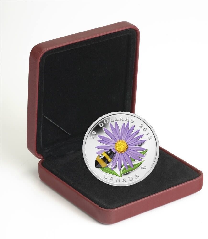 1 Oz Silver Coin 2012 $20 Canada Murano Italy Glass Aster with Bumble Bee-classypw.com-6