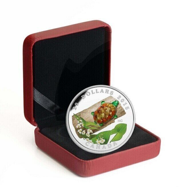 1 Oz Silver Coin 2015 $20 Canada Murano Glass Turtle Broadleaf Arrowhead Flower-classypw.com-6