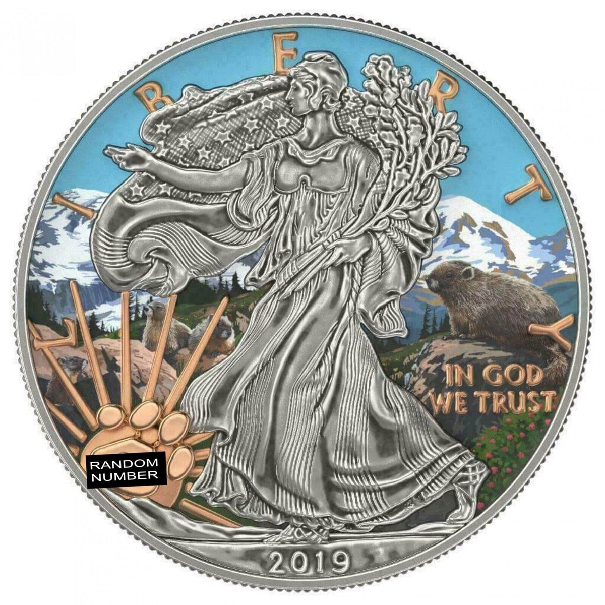 1 Oz Silver Coin 2019 $1 Liberty National Parks of The USA - Mount Rainer-classypw.com-1