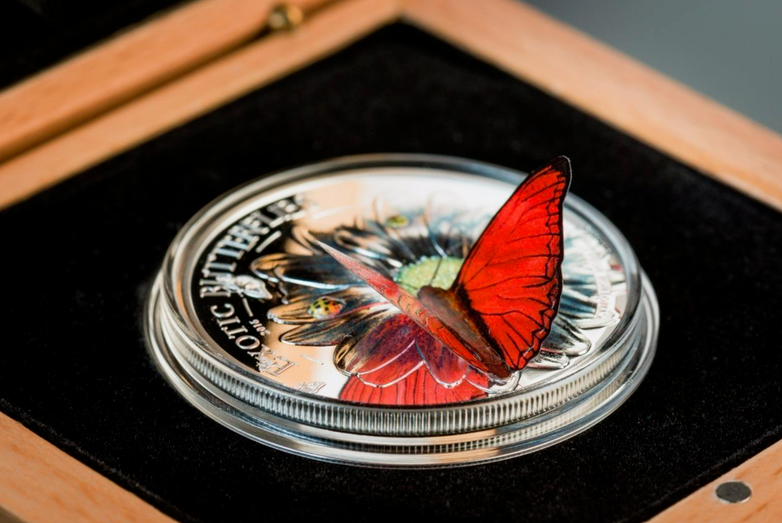 25g Silver Coin 2016 1000 shillings Tanzania Exotic 3D Butterflies - Red-classypw.com-3