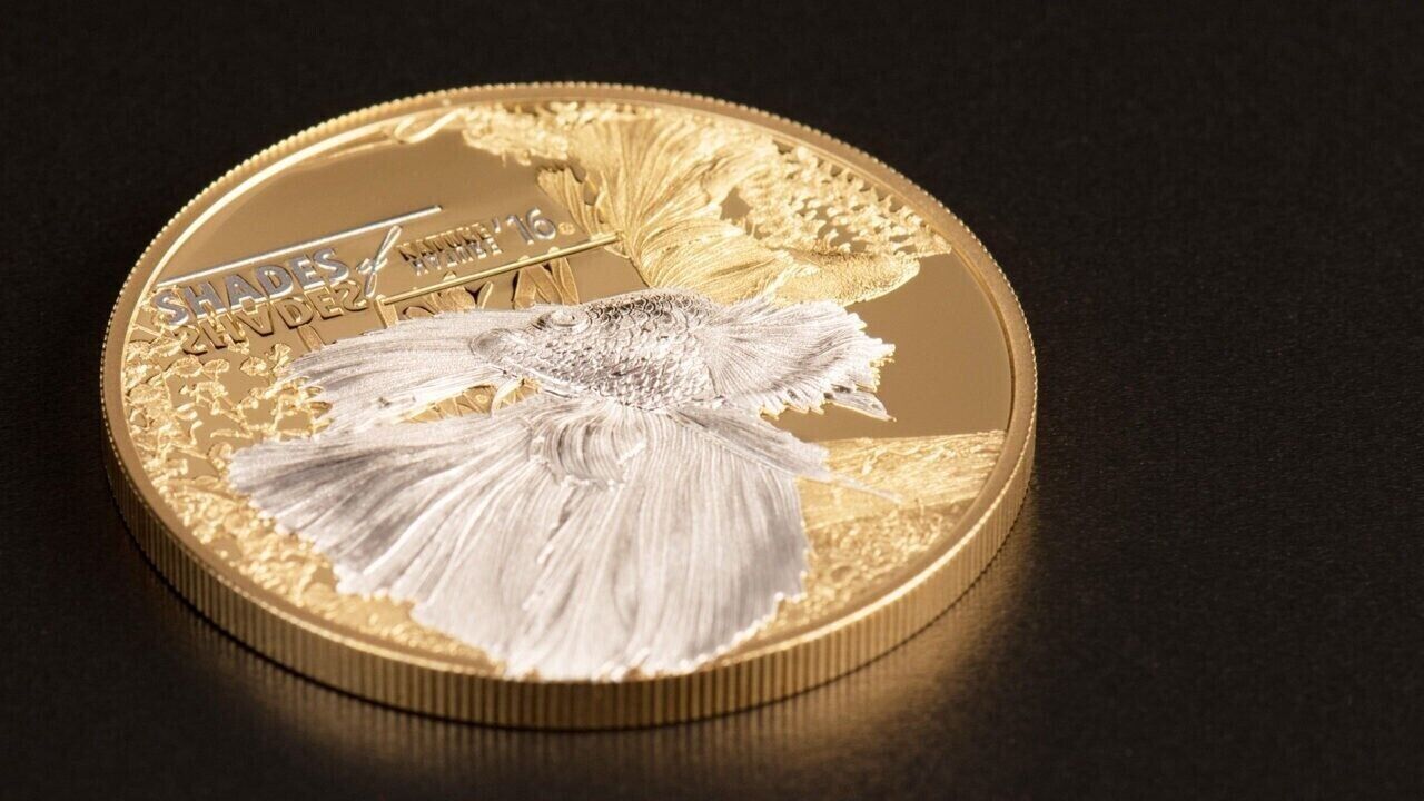 25g Silver Coin 2016 $5 Cook Islands Shades of Nature - Fighting Fish Gilded-classypw.com-1