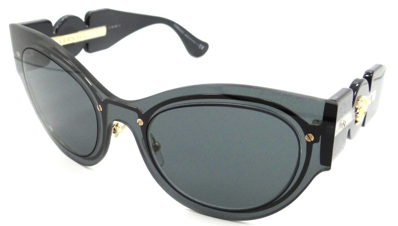 Versace Sunglasses VE 2234 1002/87 53-24-140 Transparent Dark Grey / Dark Grey