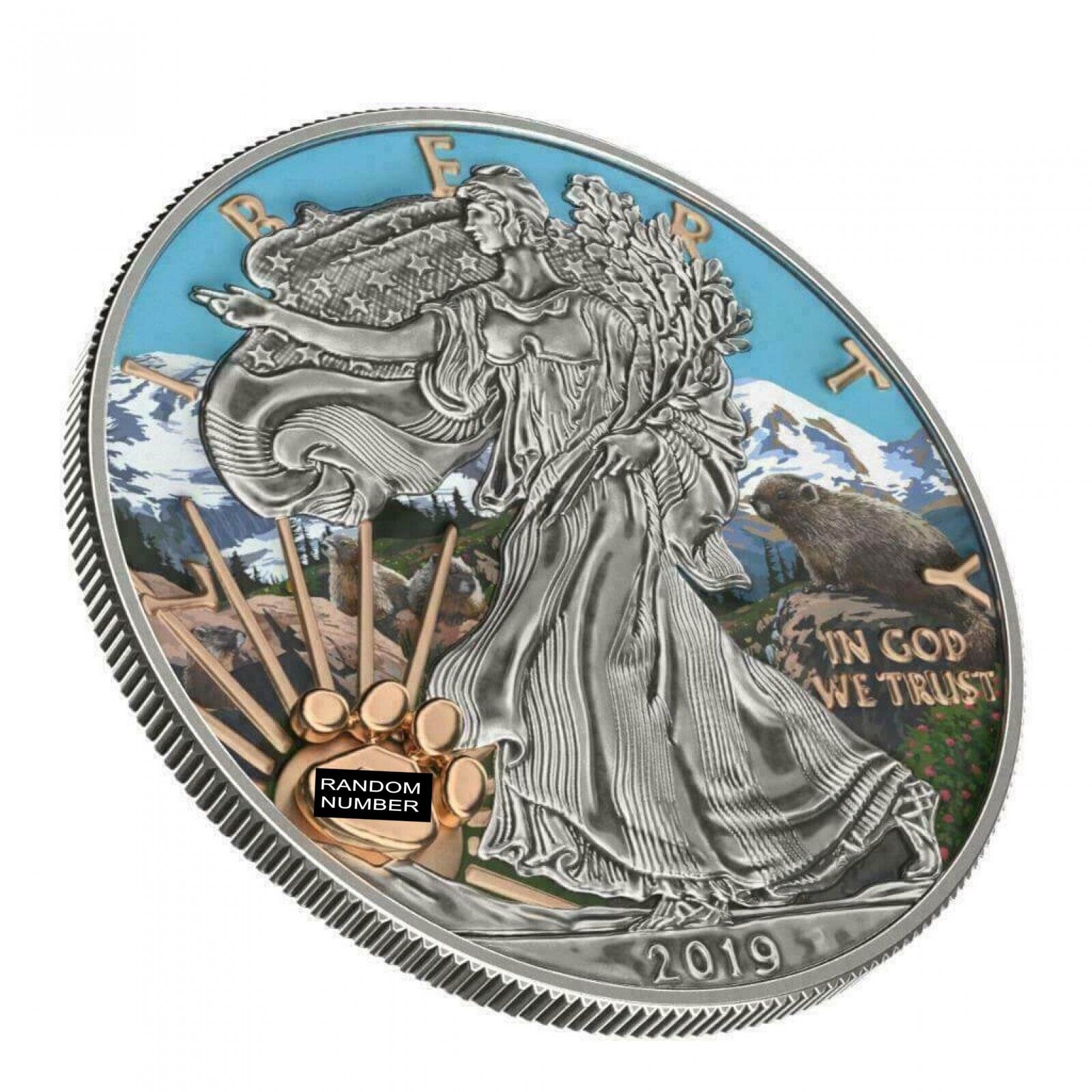 1 Oz Silver Coin 2019 $1 Liberty National Parks of The USA - Mount Rainer-classypw.com-3