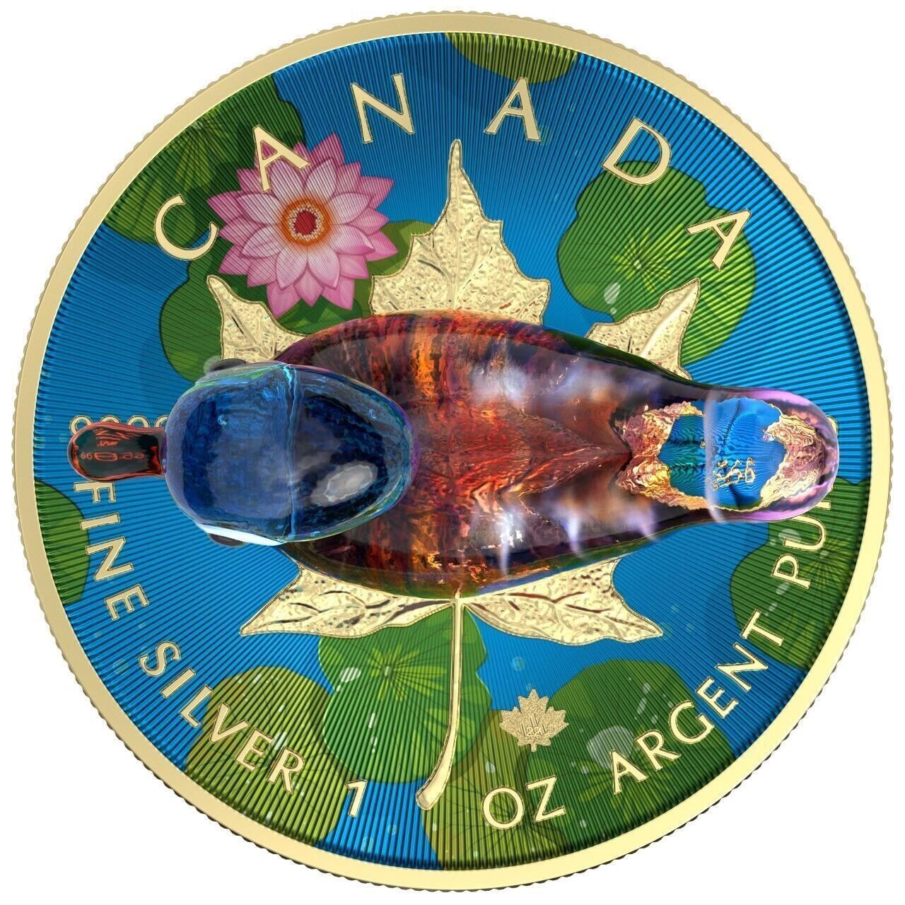 1 Oz Silver Coin 2022 $5 Canada Maple Leaf Murano Glass Series Blueneck Duck-classypw.com-3